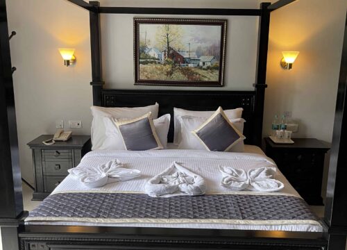 The Future of Travel: Hotel Booking Insights for 2025